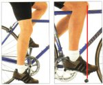 rodillapedal.jpg
