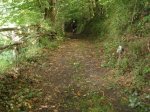 IMG_0015.JPG