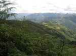 IMG_0040.JPG