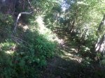 IMG_0090.JPG