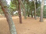 Foto4.JPG