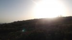DSCF1419.JPG