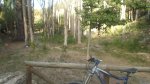 DSCF1427.JPG