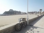 DSCF1446.JPG