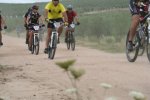 ruta01p.jpg