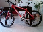 IMG00710-20120808-1711.jpg