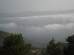 CIMG1244.JPG