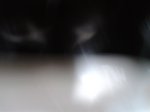 2012-08-12 09.07.07.jpg