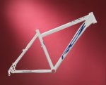 12rcz_cadre_race_divbwhbl20_3_1.jpg