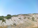 110820121638.jpg