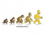 homersapien.jpeg
