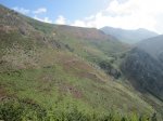 IMG_0705.JPG