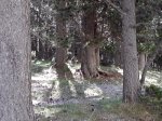 P010812_10.39.jpg