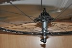 DSC_1761.JPG