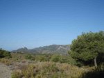 DSC07550.jpg