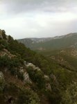 IMG_1851.JPG