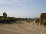 DSC07599.jpg