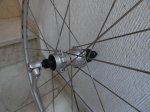 DSC00884.JPG