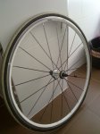 15082012817.jpg