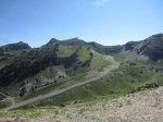 IMG_2452.jpg