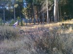 Foto0816.jpg