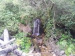 20120815_170519-1.jpg