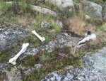 20120815_182447-1.jpg