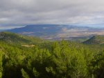 P1010287-Sierra-del-Carche..JPG