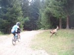 DSCF2040.jpg