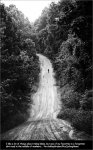 sanseb12-bw.jpg