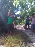 IMG-20120815-00117.jpg