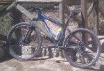 IMAG0113.jpg