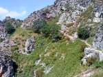 DSC06952.JPG