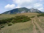 DSC06978.JPG