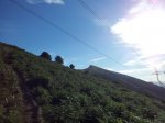 20120816_191739_1024x768.jpg
