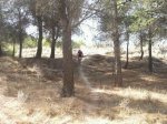 IMG-20120818-WA0011.jpg