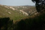 Image00015.jpg