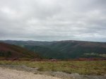 P1050386_1024x768.jpg