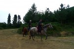 P1130506.jpg