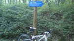 DSC_0147.jpg