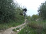 DSCF0308.JPG