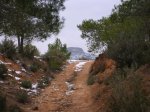 DSCN0457.JPG