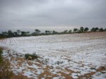 DSCN0458.JPG