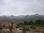 DSCN0460.JPG