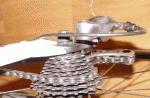 DSC02871.gif