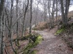 IMG_3040.JPG