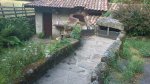 DSC_0150.jpg