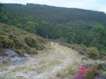 DSC00202.JPG