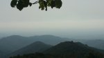 DSC_0492.jpg