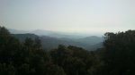 DSC_0495.jpg